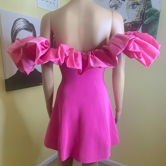💫HP‼️💫 NWOT AJE Eldora Retro-inspired Mini Dress w/Ruffles in Pink, Size XS - Picture 10 of 10
